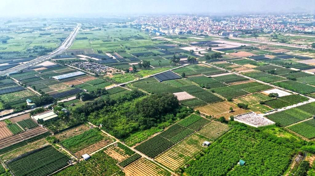 Hơn 100 Lô Đất Hưng Yên Sắp Đấu Giá Giá Khởi Điểm Cao Nhất 6.2 Tỷ Đồng/Lô