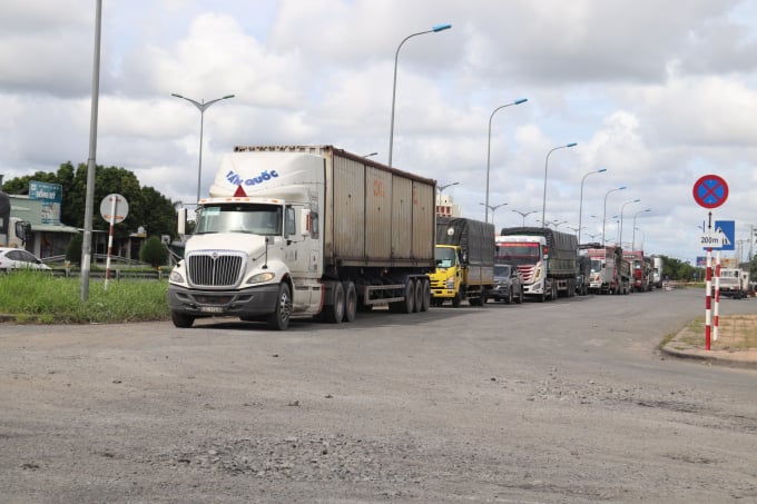 ĐBSCL: Dự kiến khởi công mở rộng ba tuyến quốc lộ huyết mạch vào đầu năm 2026