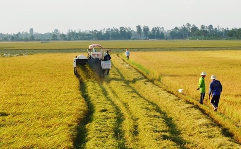 Đề xuất kéo dài miễn thuế đất nông nghiệp đến năm 2030