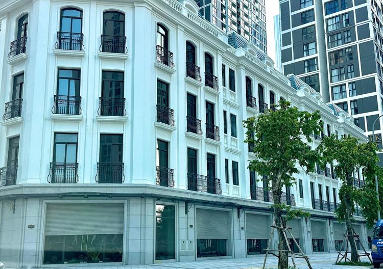 Thị Trường Biệt Thự Liền Kề Hà Nội: Tăng Giá Mạnh Mẽ Trong Năm 2025